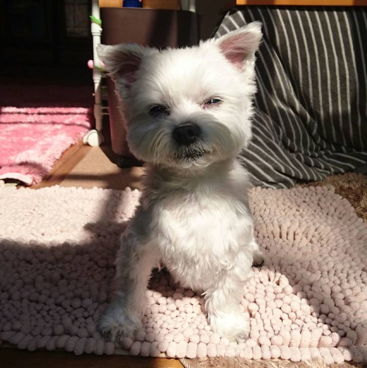 Eef8a0aa 752f 425b 92db 6e2c103c6f3f