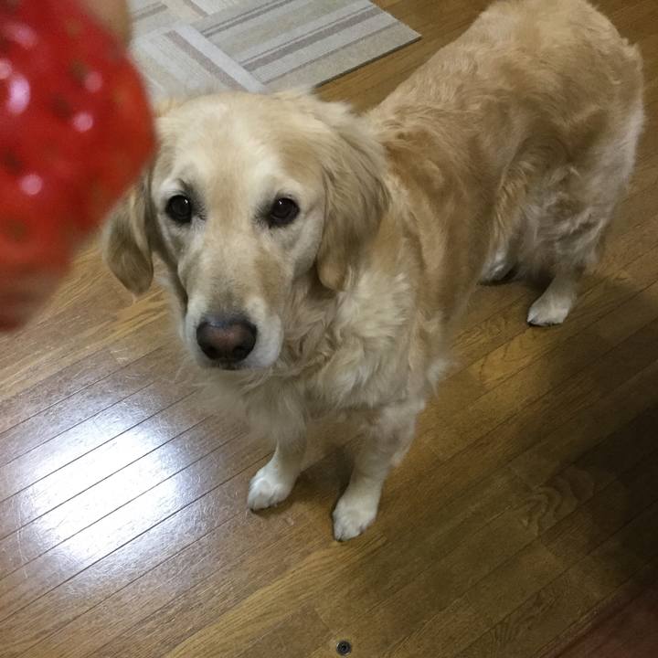 Eef90849 26f4 455d 81af cb9e4076905a