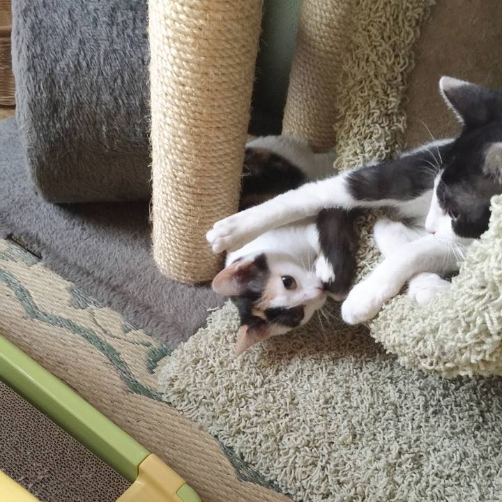 Eef9258c 02c3 4716 aad4 834ec9356fc8