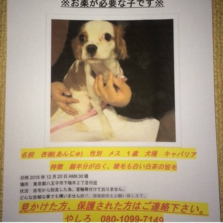 Eef94c09 4abc 480a 9401 53a95cfba64c