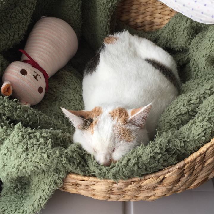 Eef97fa8 ca18 4432 b442 86242d90cb94