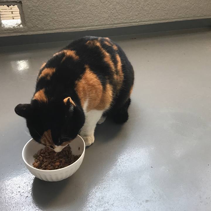 Eef98392 9253 47af afad b6af357592b1