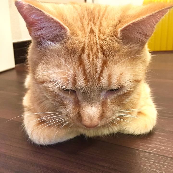 Eef9b943 c35f 4f77 bc82 735567a9ca7e