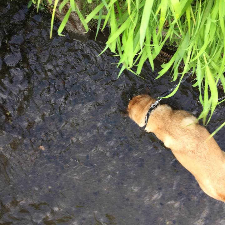 Eefa0451 a324 4f93 98ae b09136b38ff5