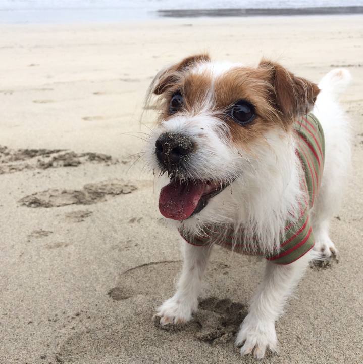 Eefa11b4 3b7d 43bd 8460 146a4258f49b