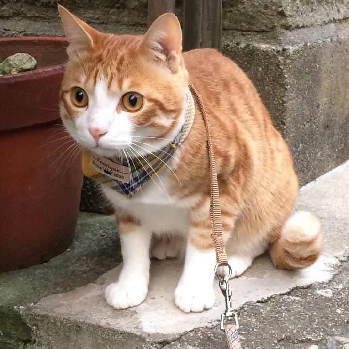 Eefa235c 1ef7 43db 815e 156ac2c9bcbd