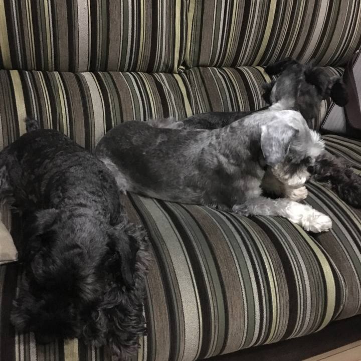 Eefa255d b65a 487b 8edf e2e0ef931382