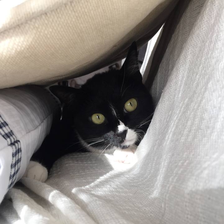 Eefa888a f023 4395 84b0 b053a4f3a75f