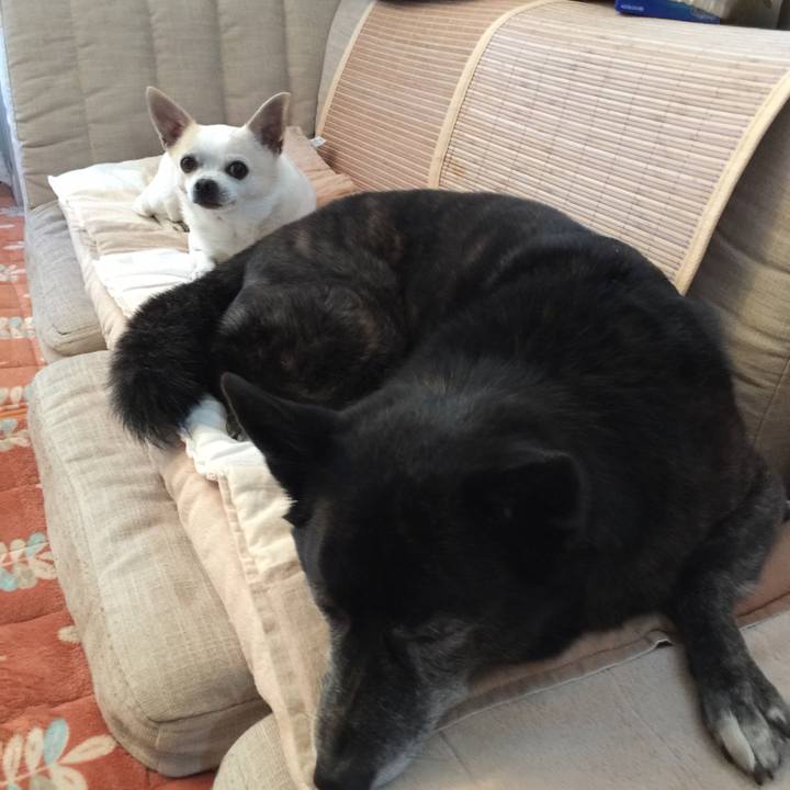 Eefb3893 c17a 4668 8a7b 762b747c7964