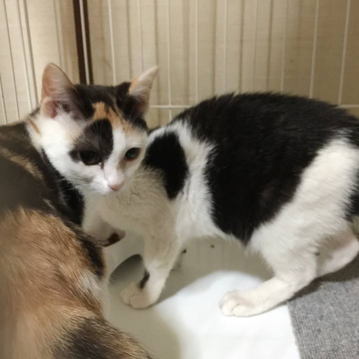 Eefb3a07 360e 4b77 8aed 2735a39cd9f2