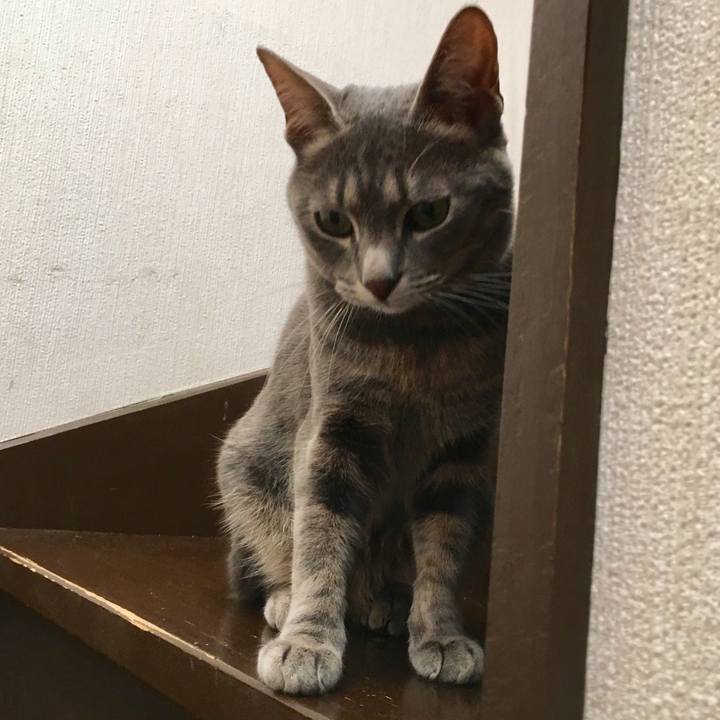 Eefb4c21 eb75 4aed 98af dffc6120bcd3