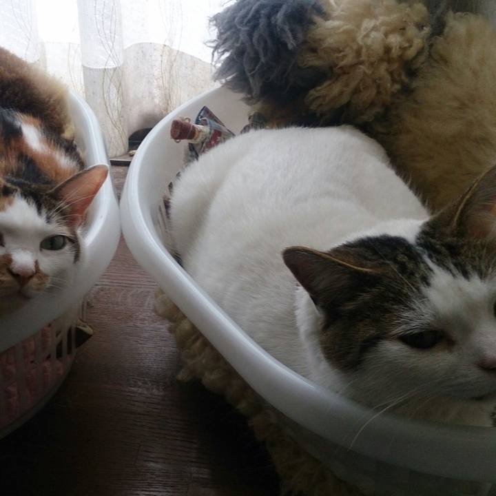 Eefbb119 459b 4eef a6f6 d0292b2484a3