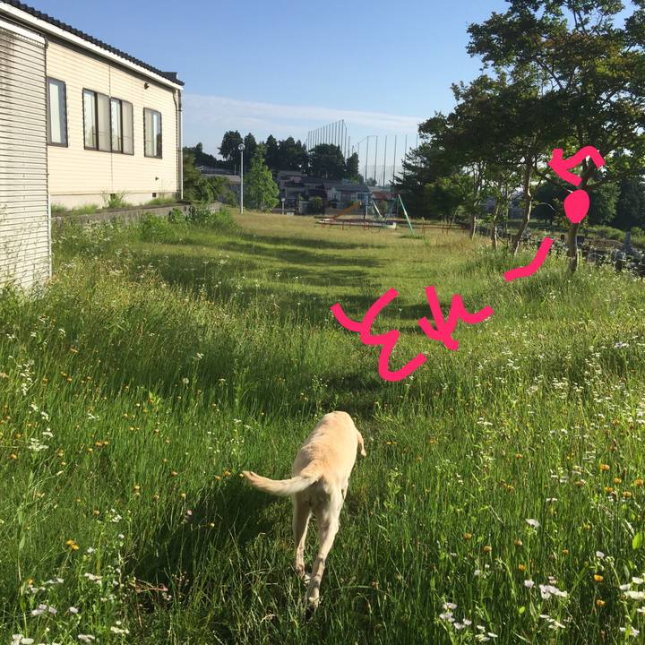 Eefbe827 166e 4729 93e4 7723fce9d188