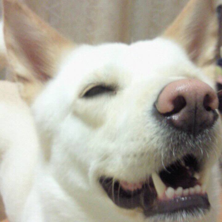 Eefbff01 be71 4379 ba65 ddbdc51ba7b7