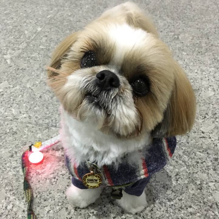 Eefc2af7 0ee7 4160 a3ee 9633ecd6e1fe