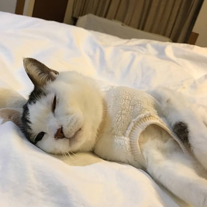 Eefc895b 1574 4841 9d5b 6a13c9faaa1c