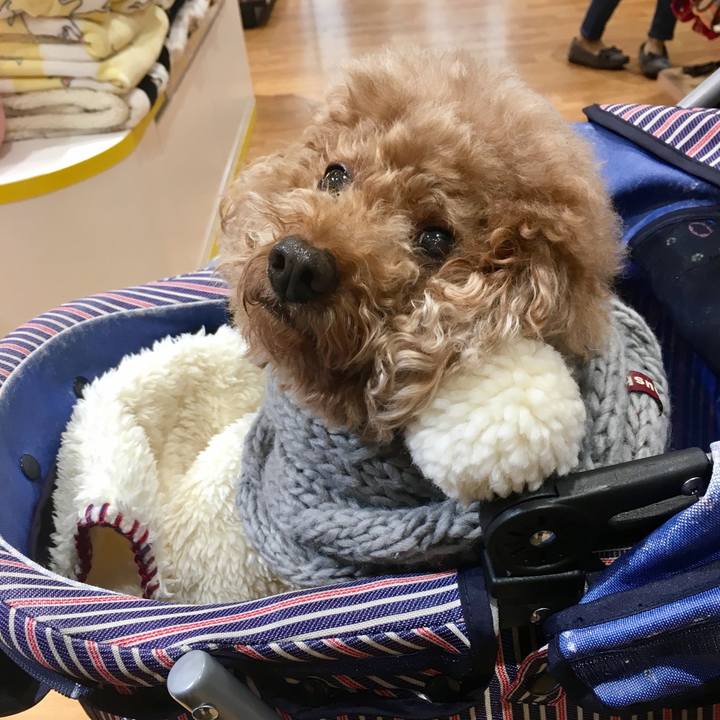 Eefcdcdb 9304 4b13 aa73 8a64c9675df6