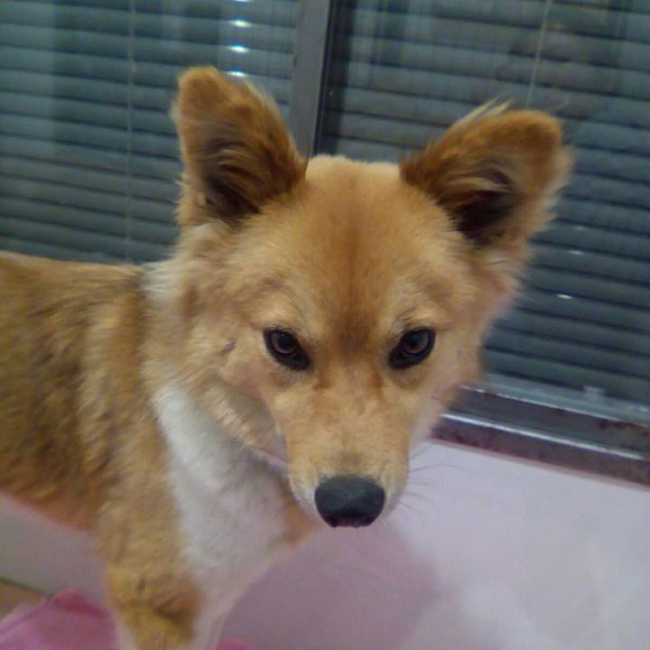 Eefd0306 fb60 49aa 8790 5a055ec7b3b4