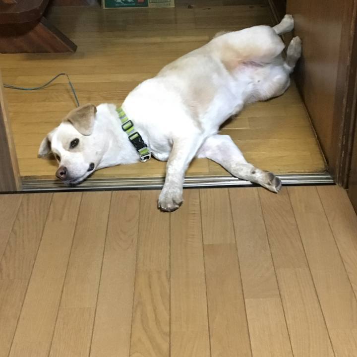 Eefd36aa 49de 4f19 a38c ce1b75016622