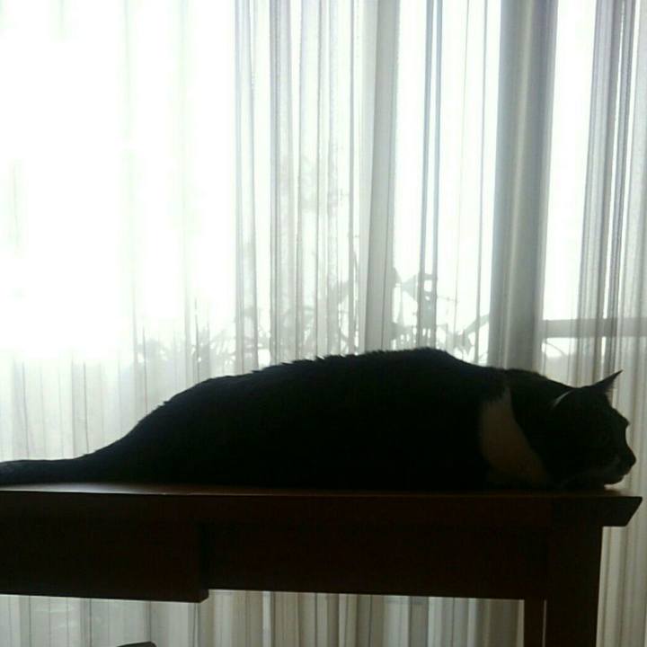 Eefd60ca 77c5 4a24 81aa 06984a35cd34