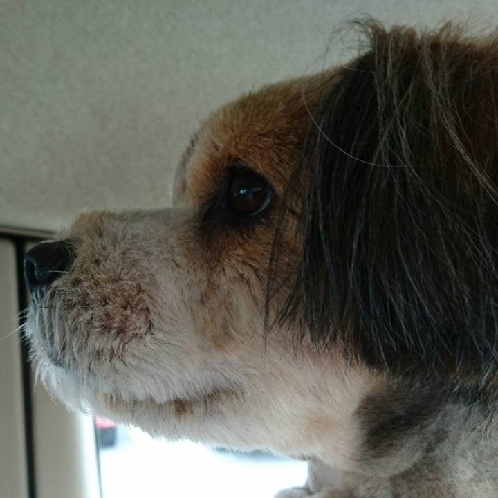 Eefe4086 480c 4931 80c3 8f274bc3e777