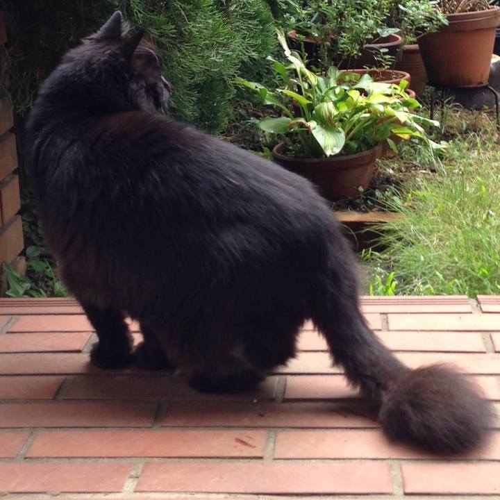 Eefe785a f831 4e60 934d 0f7851446b85