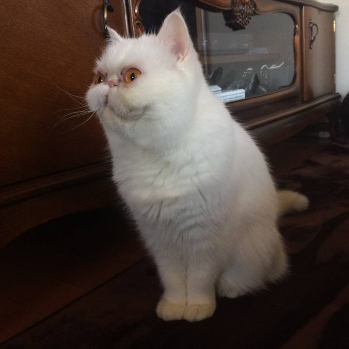 Eefea18f dab1 4fad ba27 d543a5b76e87