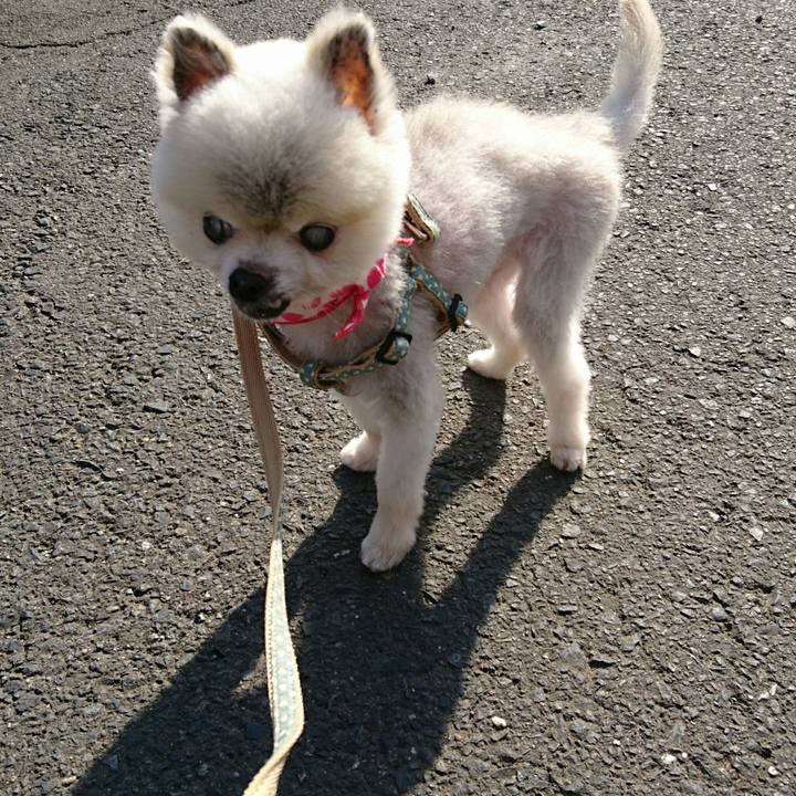 Eefecf60 fb18 4c67 9950 3deb536b93a8