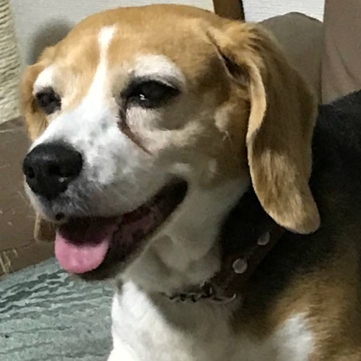 Eefedaea 6c5f 4f7a 8ebe d71919a664a2