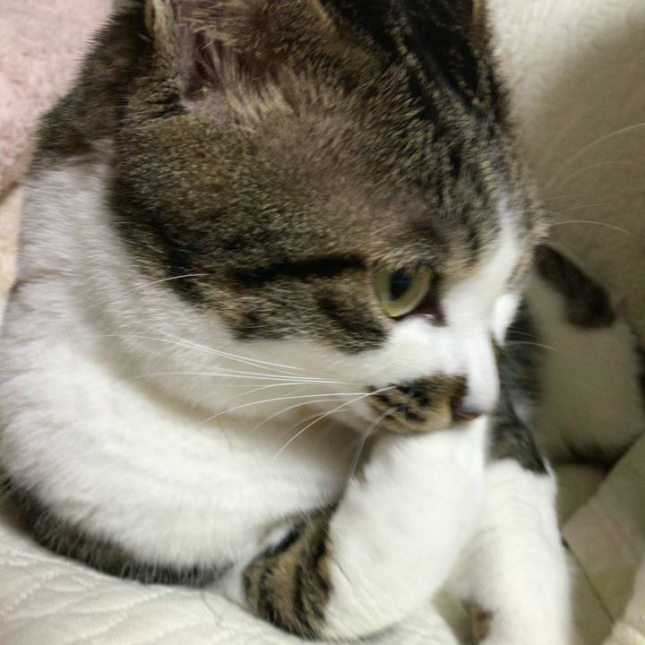 Eeff5692 ce6c 4b97 8b47 e8afd44daf30