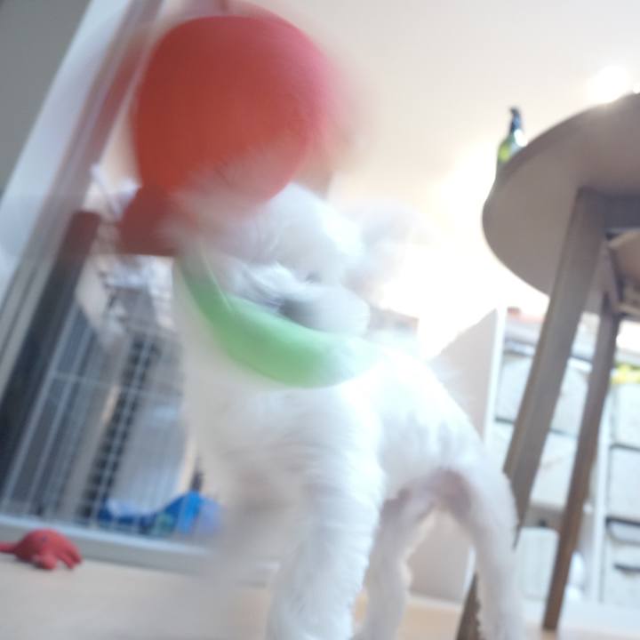 Eeff59c8 0972 415d 864a 6c0e0e489f23