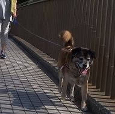 Eeff6eb5 c248 4f90 a63e 6cf843165928