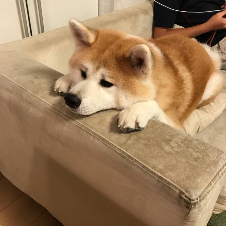 Eeffac54 75ee 4986 ba1b 81eebad736b0