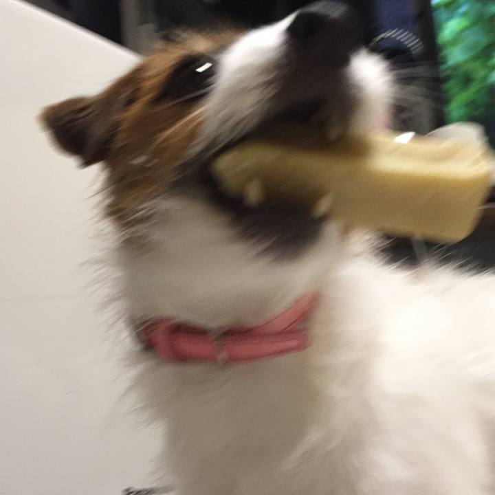 Ef005b85 d5dd 4b16 ad70 425083429abd