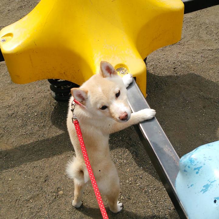 Ef00661f ddbc 4ece a911 1ba4e9992365