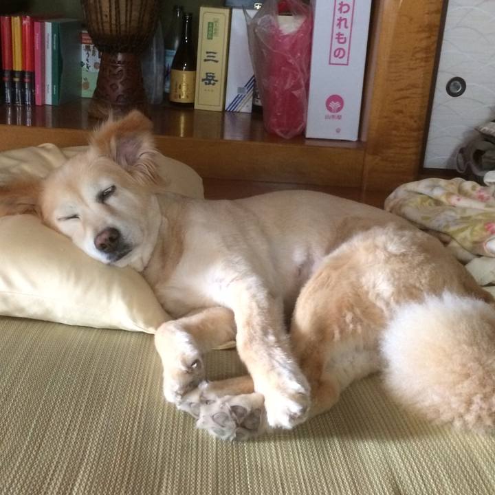 Ef00982d 4e84 455f 8f1a d9552c3c1000