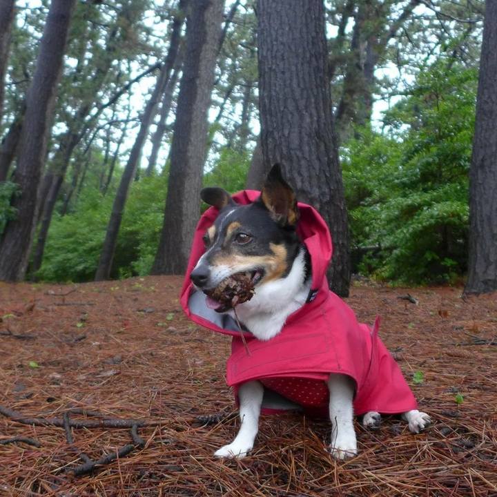 Ef012993 e447 4946 b8a8 9d627f65ee28