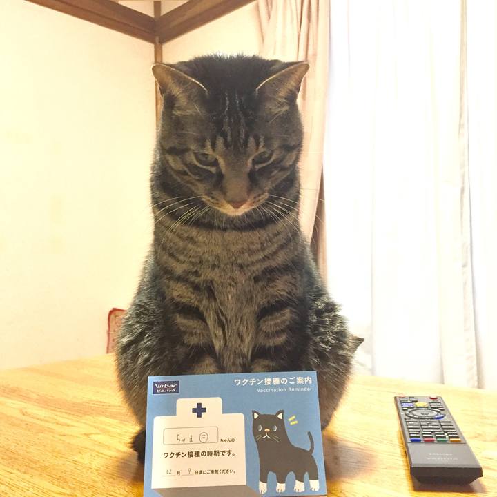 Ef015bd7 22b6 4b46 a5c3 c8538a9db77e