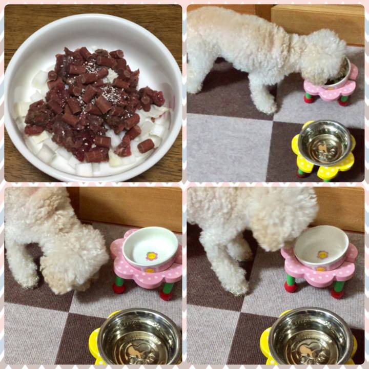 Ef019376 4ddc 45af b4f7 3a63b12af46c