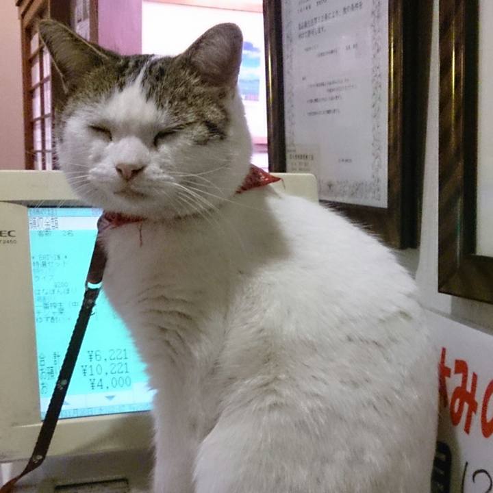 Ef01c431 89ae 42c8 a80a b46399a9d826