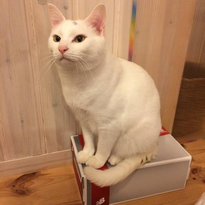 Ef0259fd f0f3 4ea9 a686 883502086a81