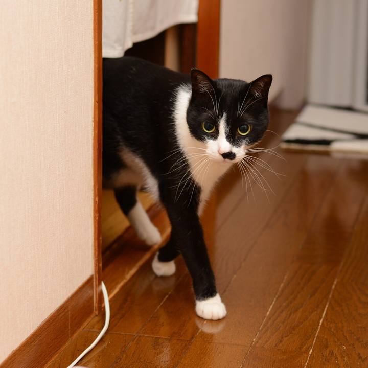 Ef02f24d 751f 436b b6ba b2e229677113