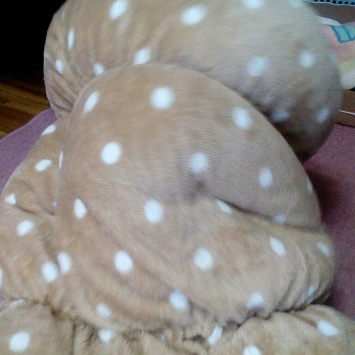 Ef03be27 4515 435a bb06 a1eb44601a22