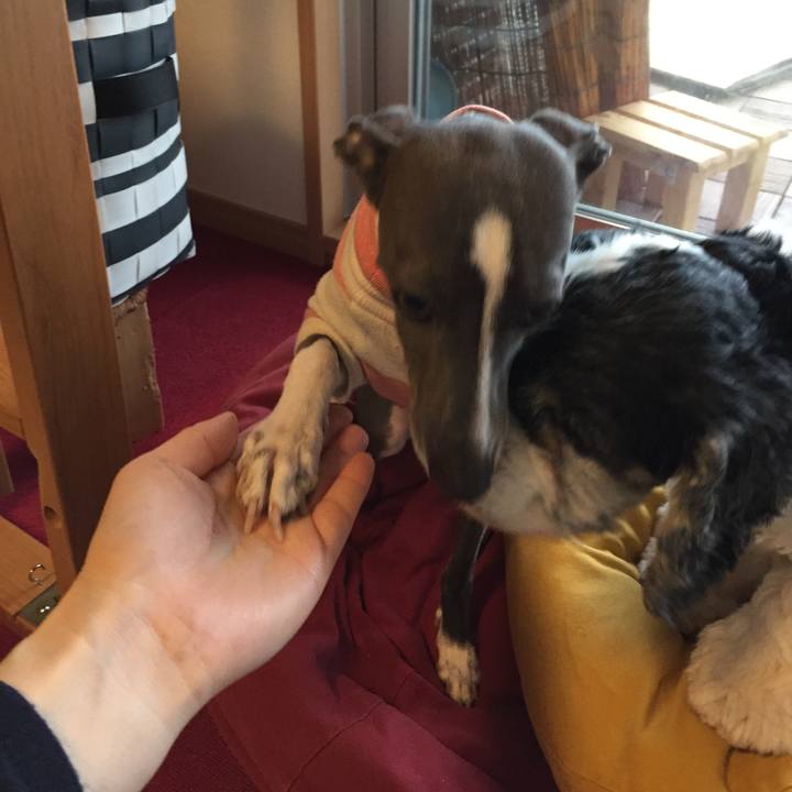 Ef03ff1b abfe 48e3 b448 effbb488cc64