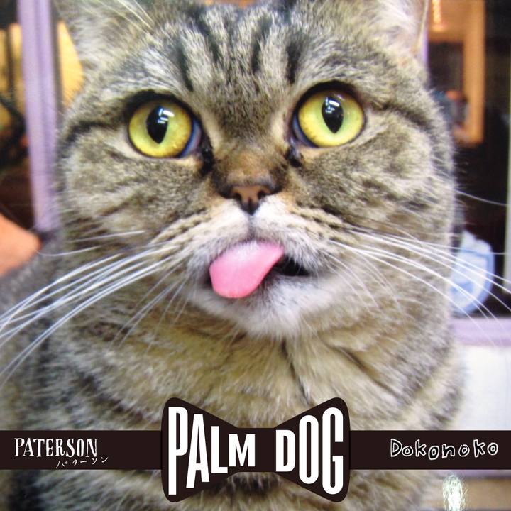 Ef042254 52f7 4c18 811f 0a104132362d