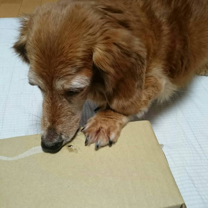 Ef0480b9 5eae 4c6d 9f07 5a1fdaeab191