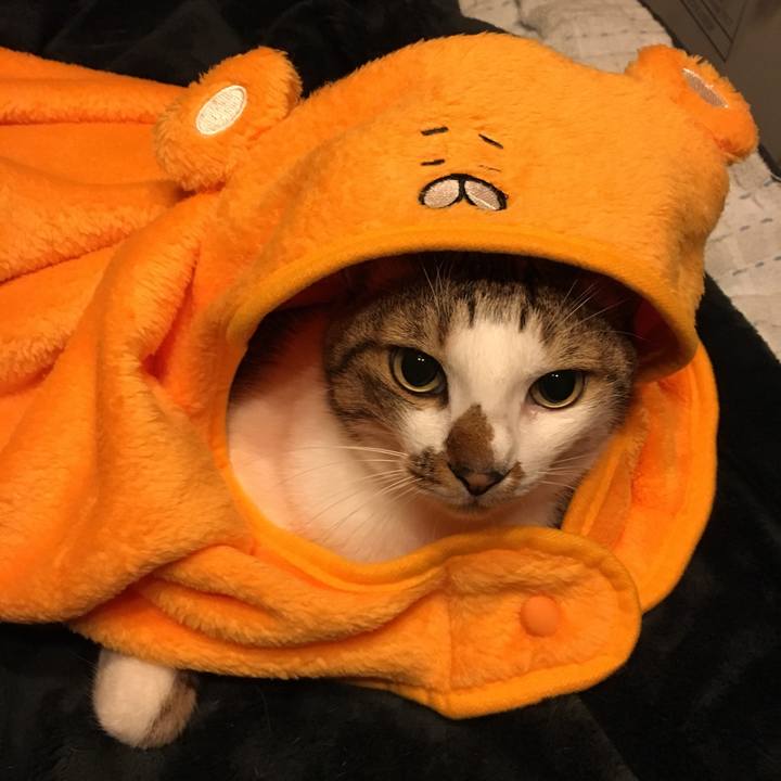 Ef04b6e6 295d 4f78 9193 387ce0744a53