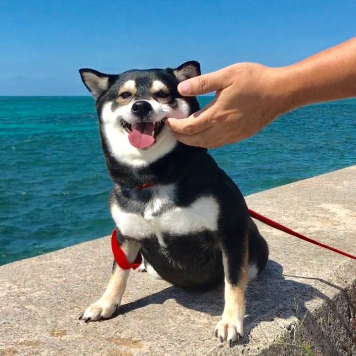 Ef04d2e8 4f1b 4fd2 a29d 3727278ded2f