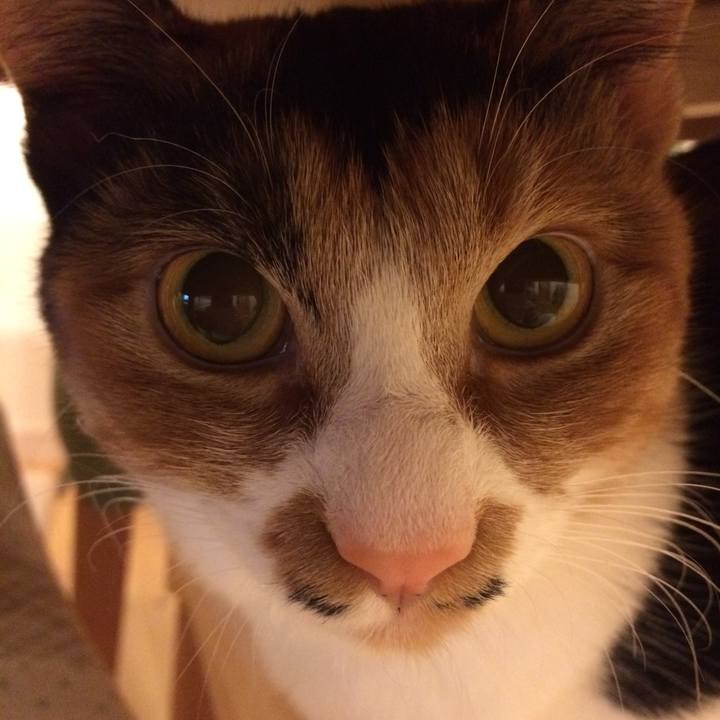 Ef04ef28 bb50 47e8 8b17 95e688c21617