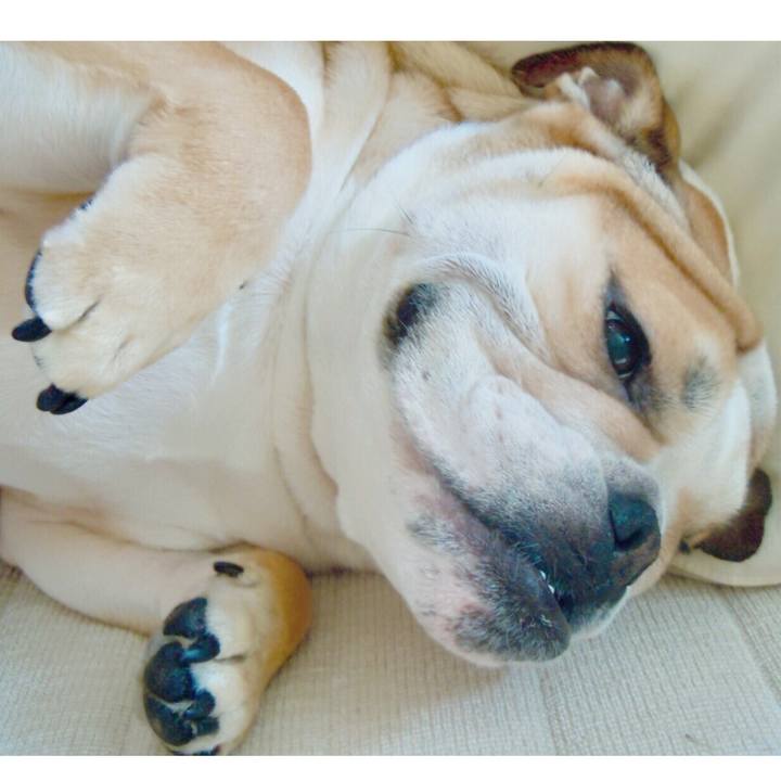 Ef054ed4 889c 4a17 8f04 6d725cae476f